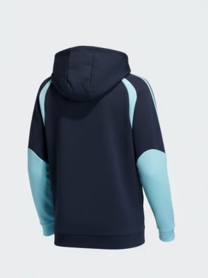 Argentina football hoodie